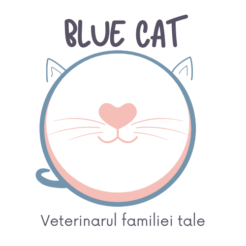 Cabinet Medical Veterinar Blue Cat